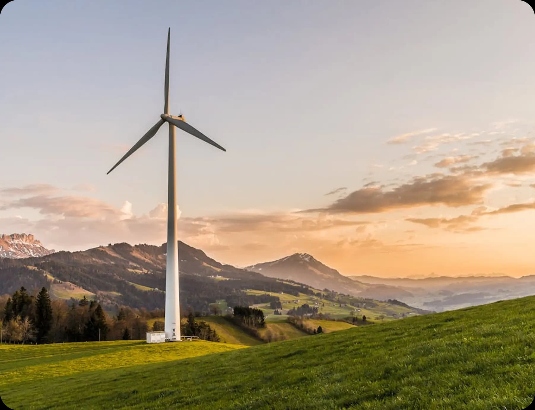 Electricity wind turbine
